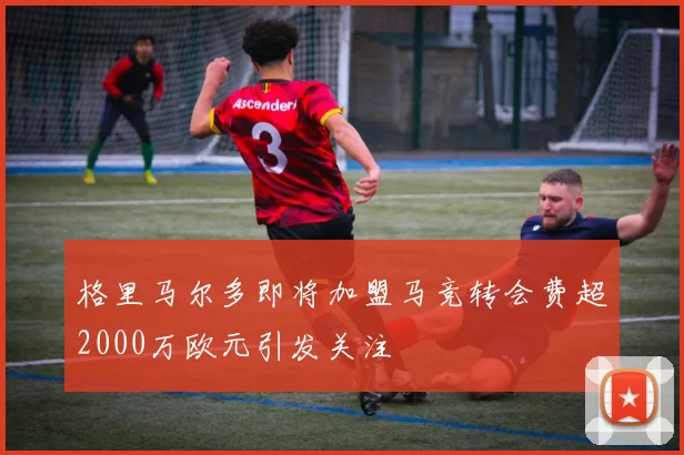 格里马尔多即将加盟马竞转会费超2000万欧元引发关注